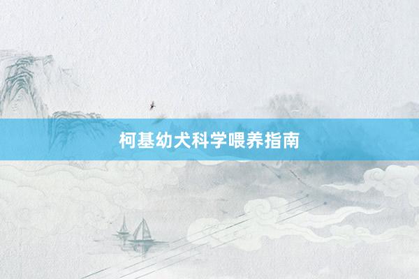 柯基幼犬科学喂养指南